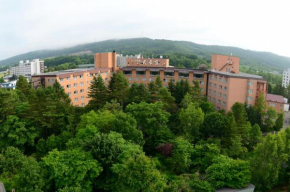 Гостиница Hotel Daiheigen  Одори